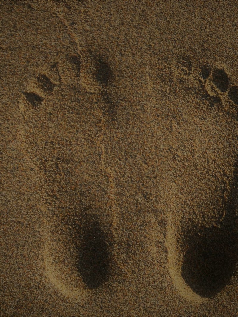 Reflexology
